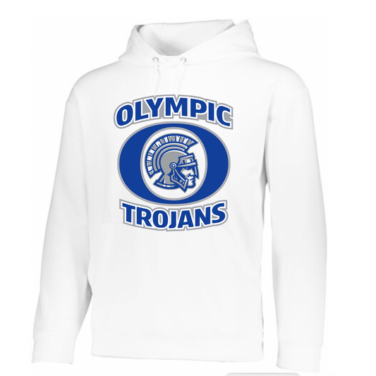 Olympic Youth Football Performance Hoodie