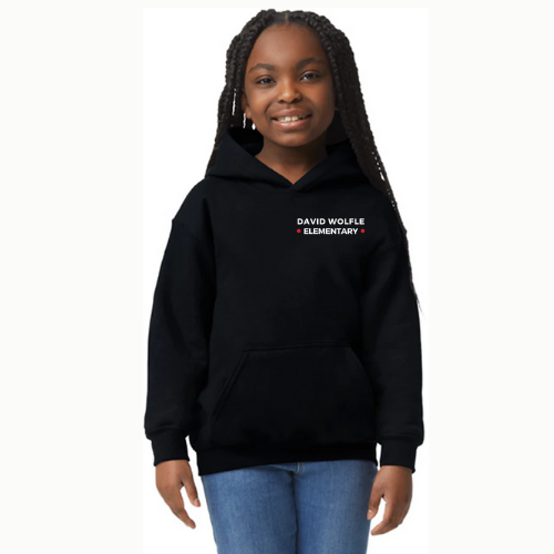 David Wolfle Essentials Hoodie - Youth