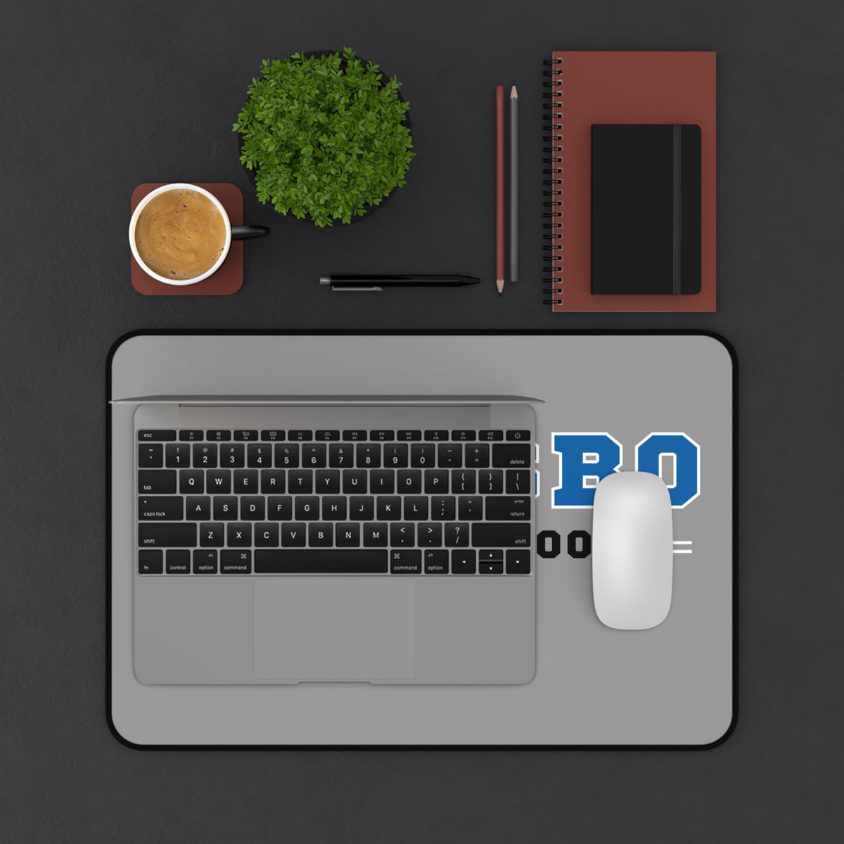 PMS Panthers Logo Desk Mat