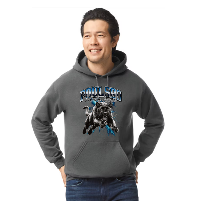 Panthers - Hoodie - Youth & Adult Unisex