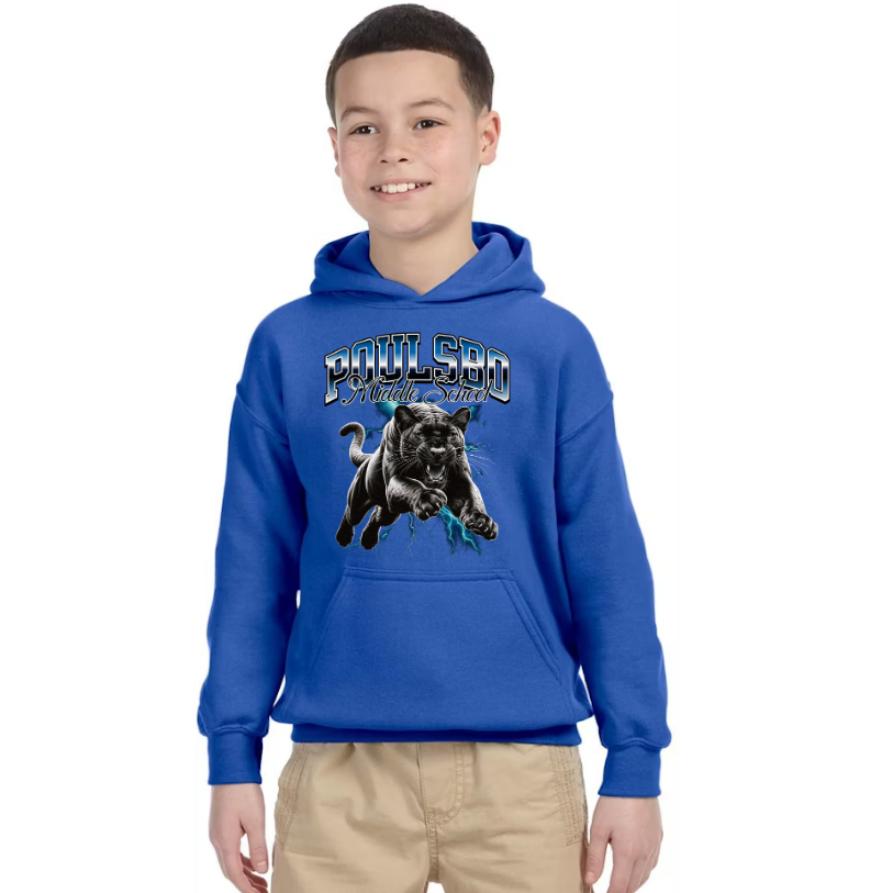 Panthers - Hoodie - Youth & Adult Unisex