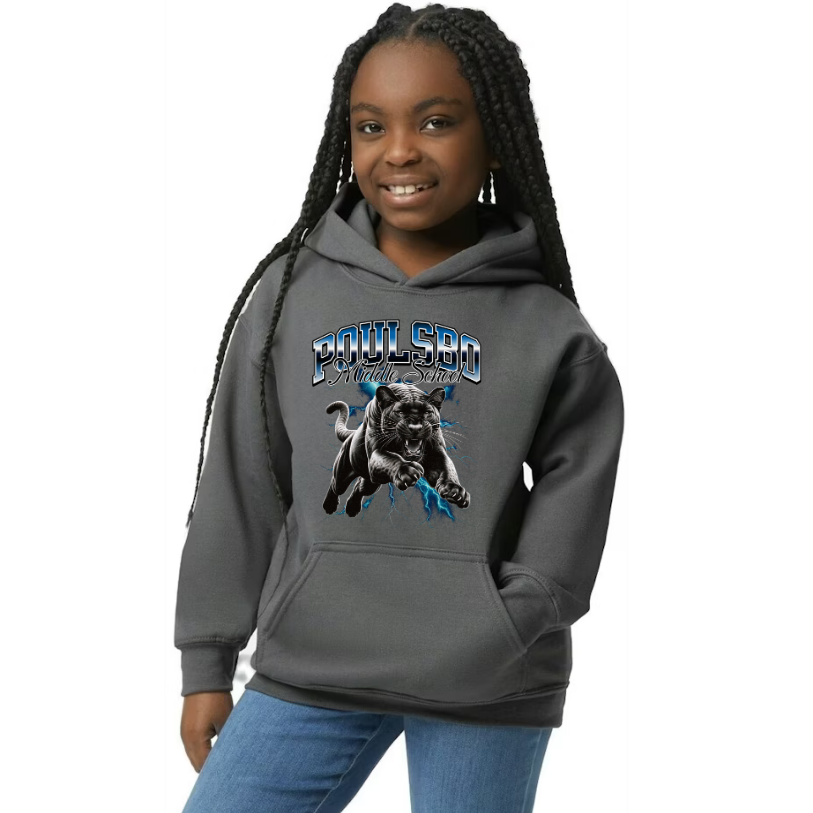 Panthers - Hoodie - Youth & Adult Unisex