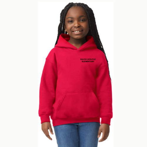 David Wolfle Essentials Hoodie - Youth