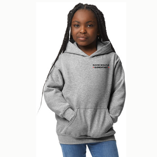 David Wolfle Essentials Hoodie - Youth