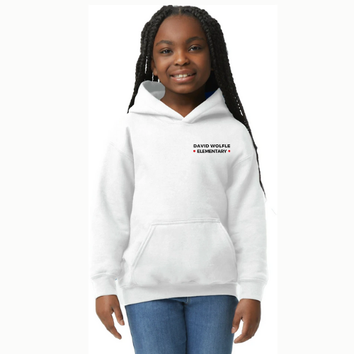 David Wolfle Essentials Hoodie - Youth