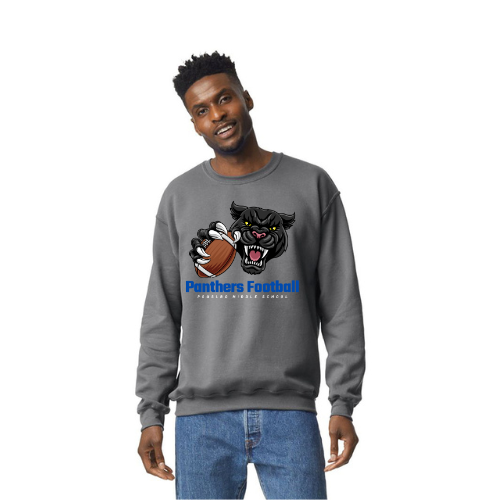 Panther Fan Football crewneck - Youth & Adult Sizes